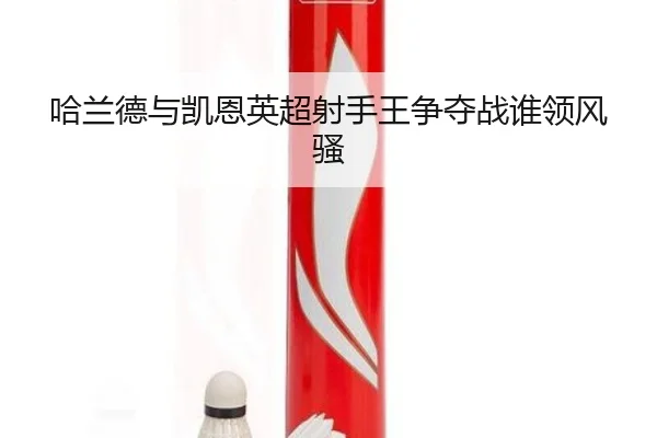 哈兰德与凯恩英超射手王争夺战谁领风骚